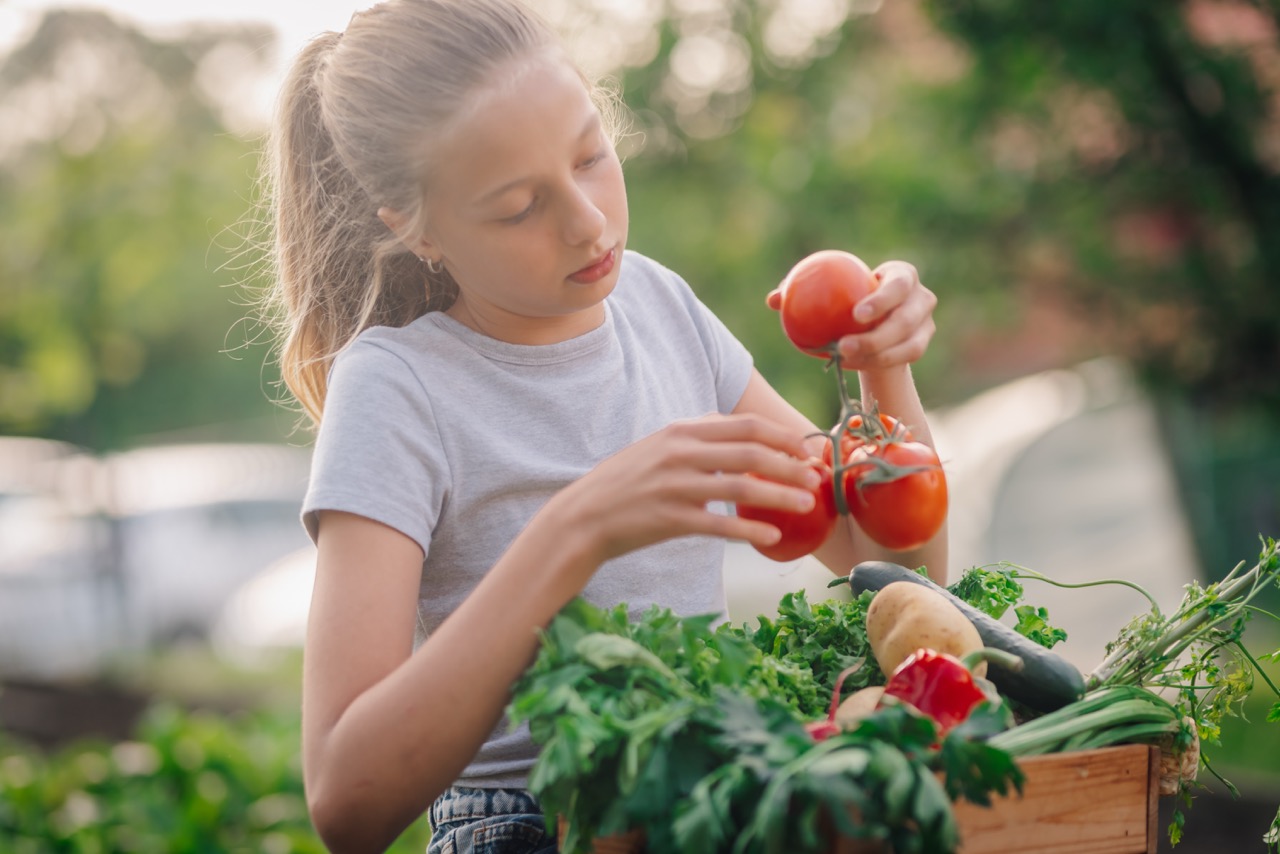 Physical Nourishment & Wellness Initiatives – Strong Bodies, Strong Futures | KDA Foundation